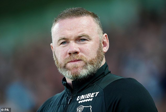 Chris Sutton believes Birmingham City have taken a considerable gamble by appointing showbiz personality Wayne Rooney.