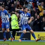 Late equaliser from Lewis Dunk saves a point for Brighton as they draw 1-1 with Everton at the Amex, despite playing with 10 men.