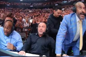 UFC fans go crazy after realizing employee’s bizarre job during fights