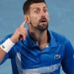 Australian Open boss calls Novak Djokovic statue, but fans are divided after the shocking treatment Serbian champion received down under