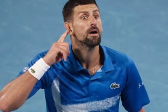 Australian Open boss calls Novak Djokovic statue, but fans are divided after the shocking treatment Serbian champion received down under