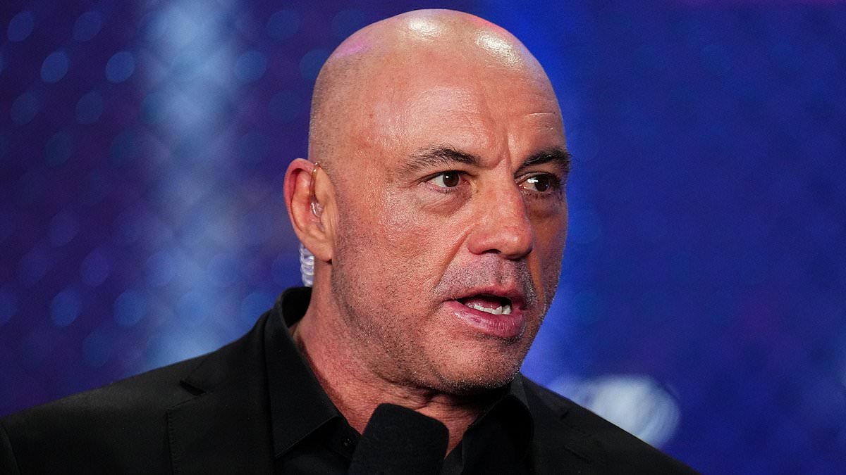 Joe Rogan makes embarrassing gaffe about female UFC fighter live on air