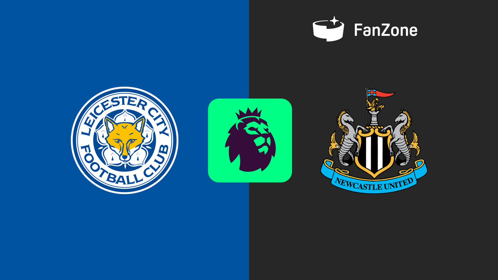 Leicester City vs Newcastle United Live Streaming: Premier League Match Preview