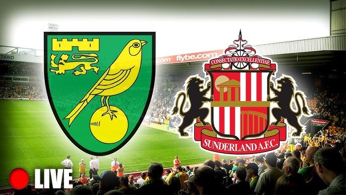 Norwich City vs Sunderland Live Streaming: Championship Match & Friendship Trophy Preview